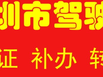 深圳汽車(chē)一站式服務(wù)指南 代辦過(guò)戶(hù)、年檢、綠標(biāo)、違章咨詢(xún)與車(chē)險(xiǎn)辦理